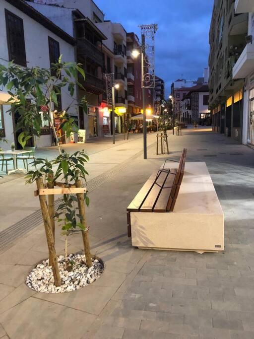 Estudio Con Amplia Terraza En Puerto De La Cruz Kültér fotó